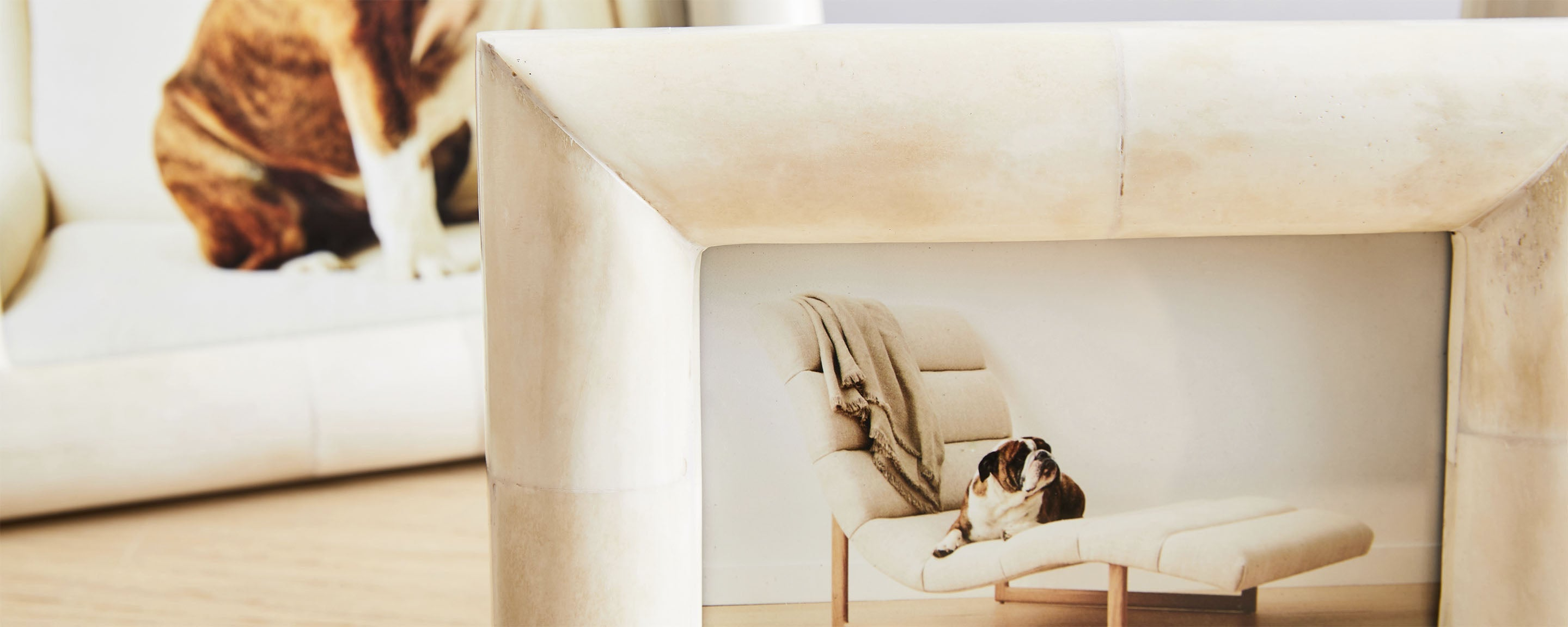 chunky bone natural picture frame collection