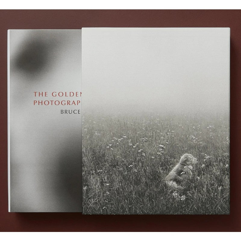 the golden retriever photographic society by bruce weber