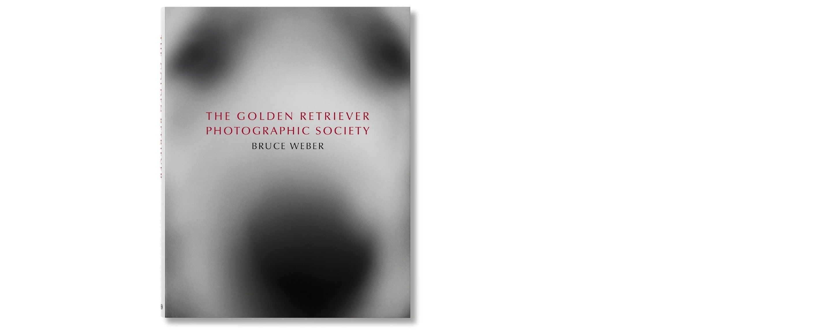 the golden retriever photographic society by bruce weber