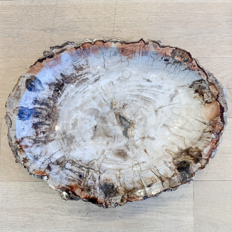 XL petrified wood bowl
