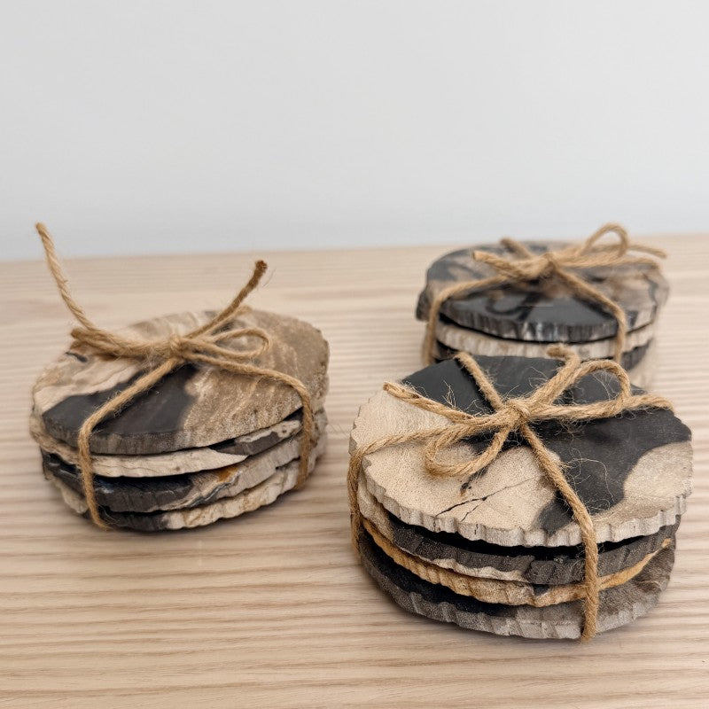 petrified wood coaster set