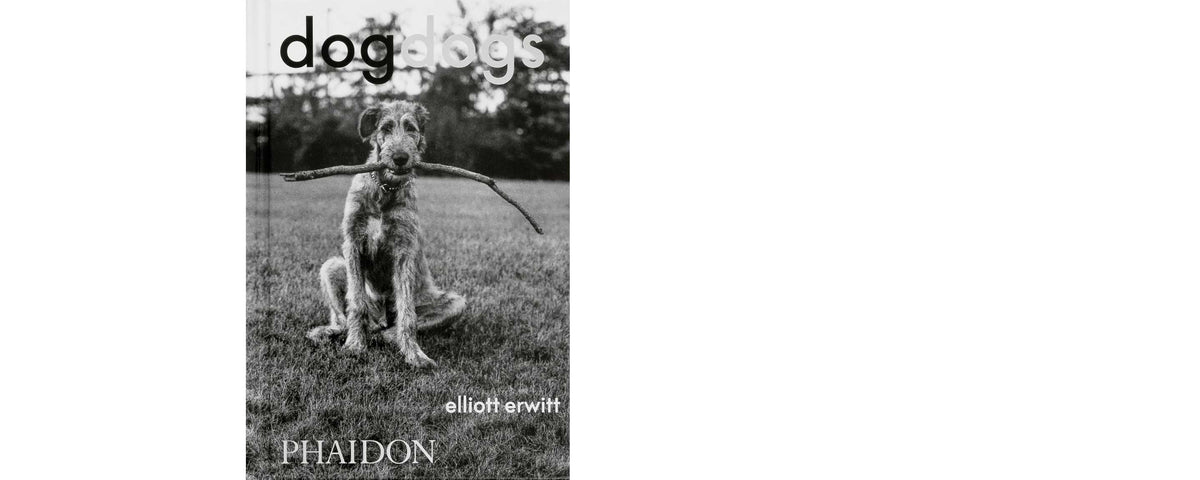 DogDogs Elliott Erwitt