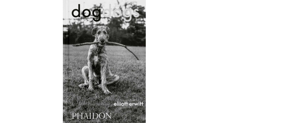 DogDogs Elliott Erwitt
