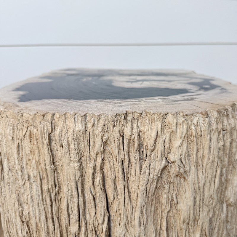 petrified wood end table, rough