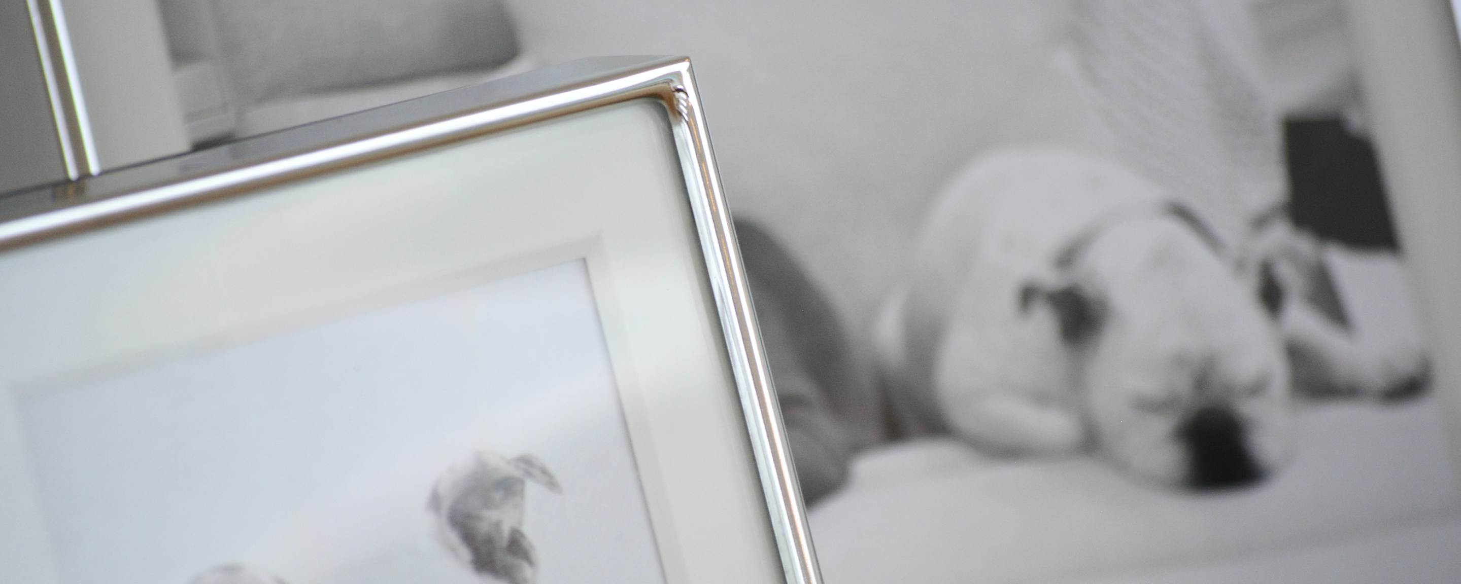 deco picture frame collection