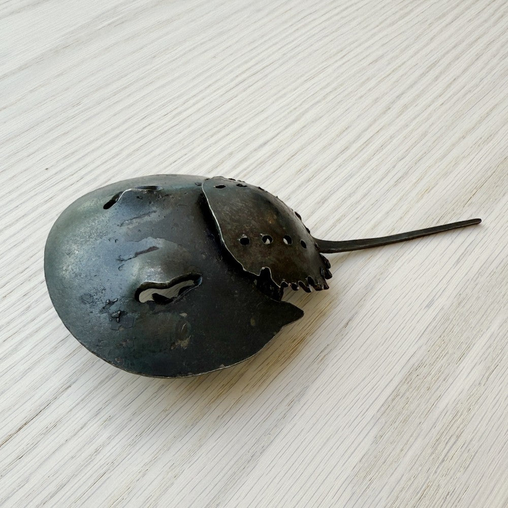 iron horseshoe crab