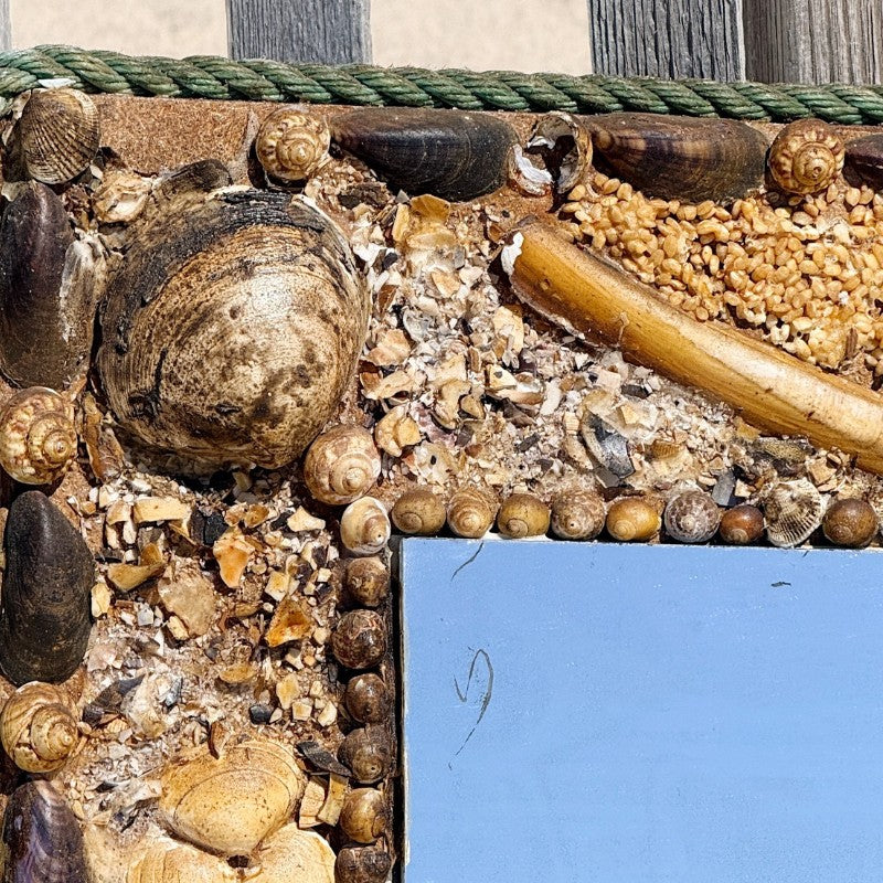 vintage seashell mirror