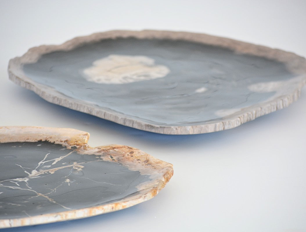 petrified wood plate, large