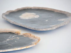 petrified wood plate, small