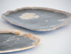 petrified wood plate, small