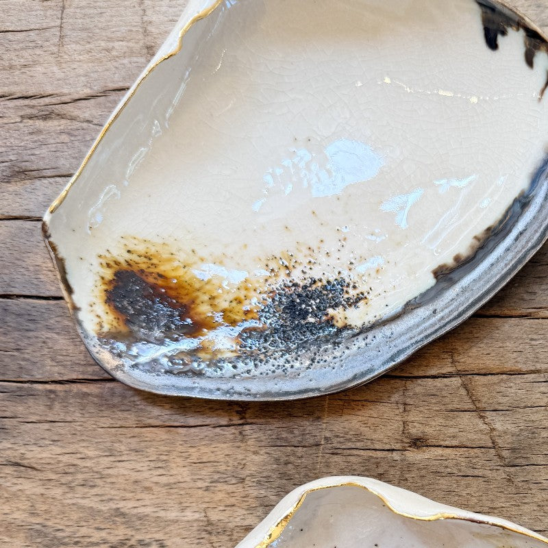 atlantic clam shell