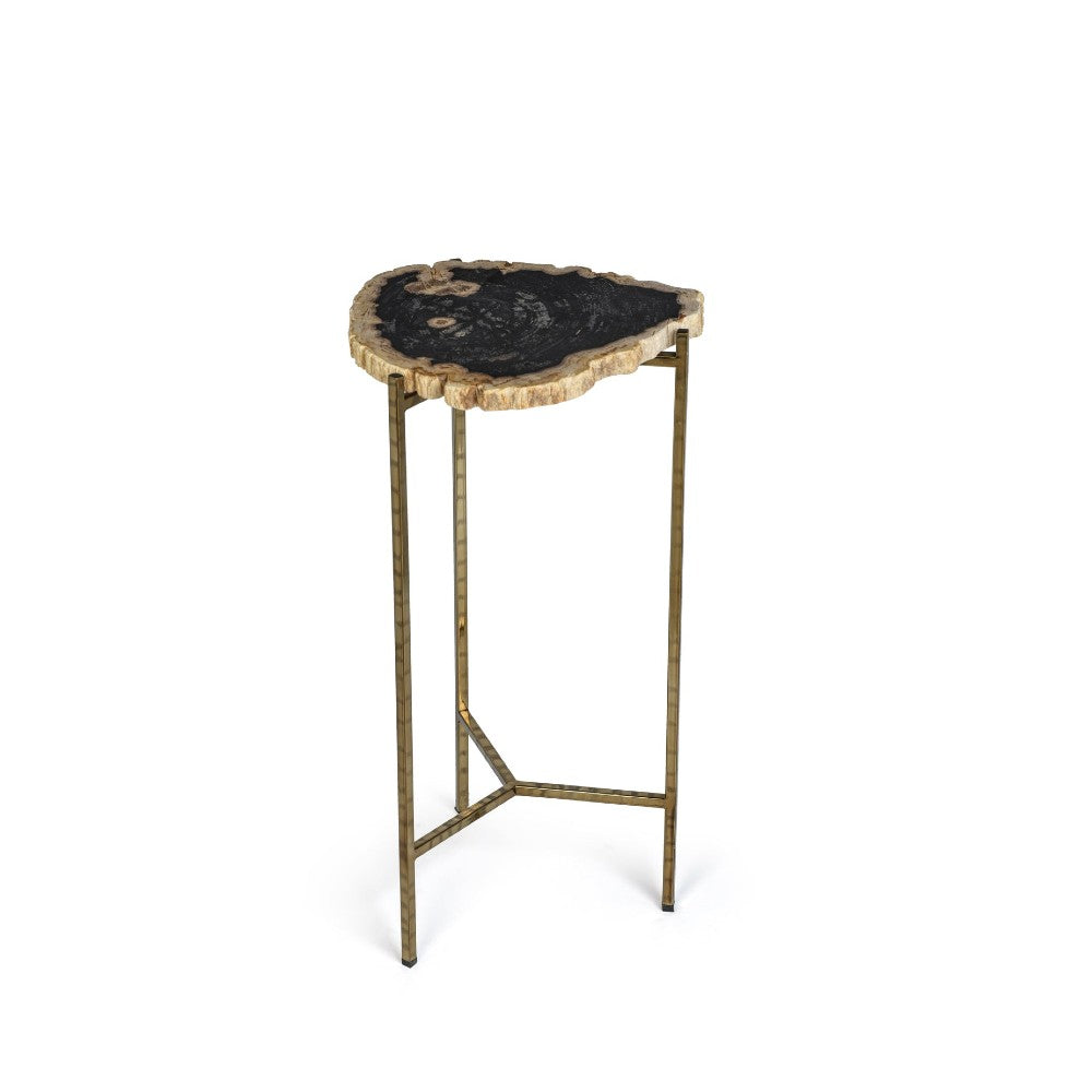 petrified wood side table