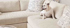 the homenature hudson sectional