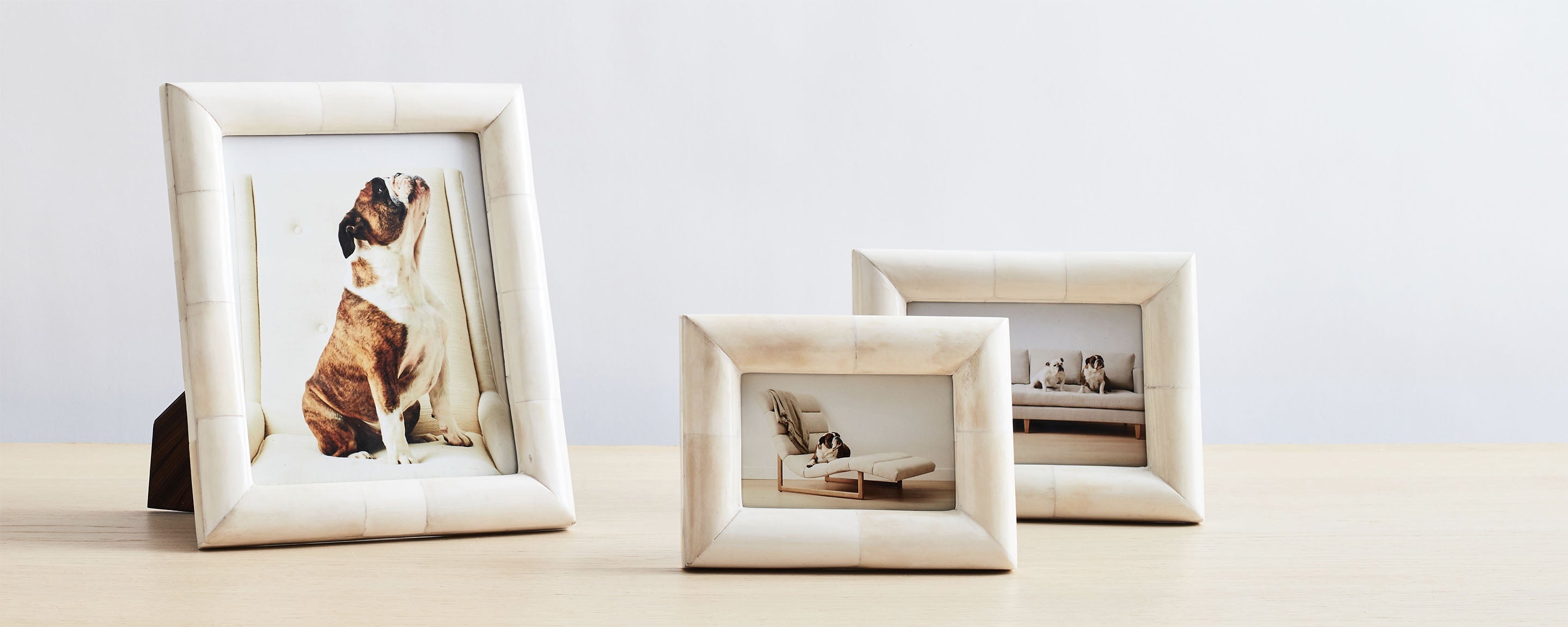 4x6 chunky bone frame