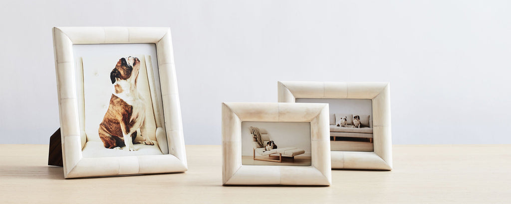 4x6 chunky bone frame