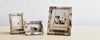 natural horn picture frame collection