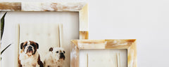 natural horn picture frame collection