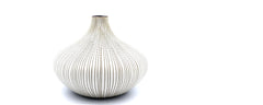 fossil ceramic onion vase