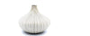 fossil ceramic onion vase
