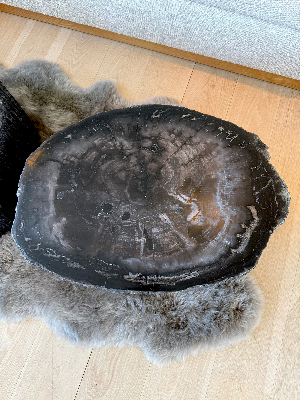 black petrified coffee table, rough