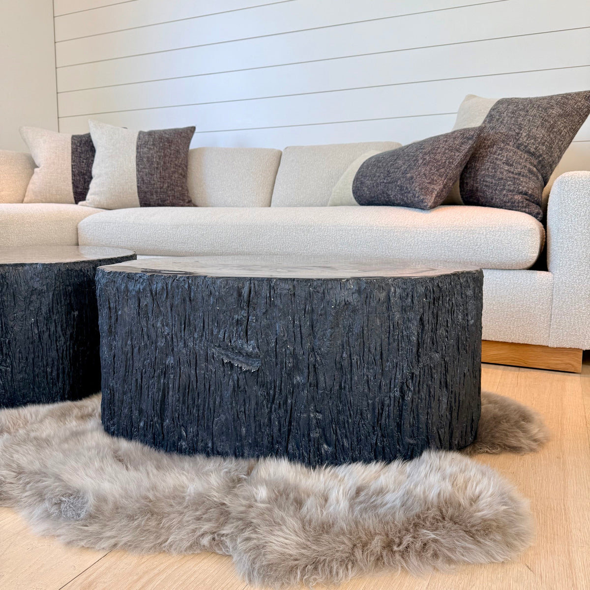 black petrified coffee table, rough