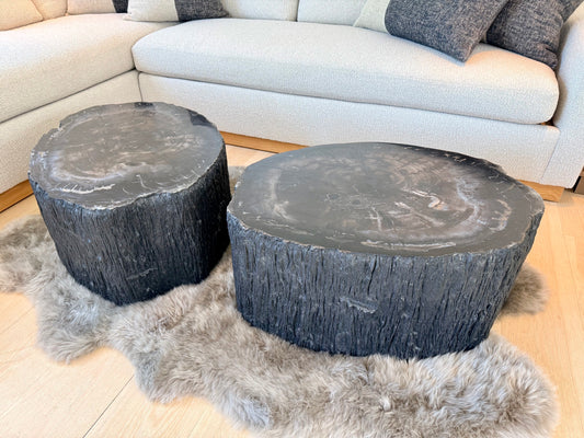 black petrified coffee table, rough