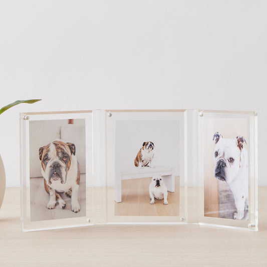 beveled lucite triple picture frames