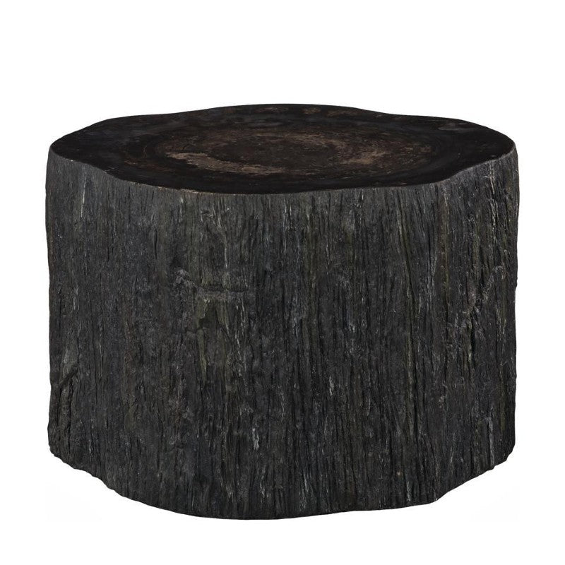 black petrified coffee table, rough