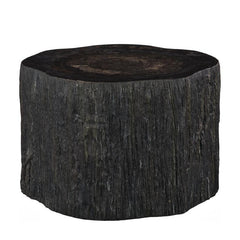 black petrified coffee table, rough