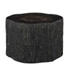 black petrified coffee table, rough