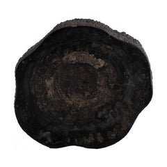 black petrified coffee table, rough
