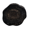 black petrified coffee table, rough