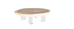 the bal harbour coffee table with lucite