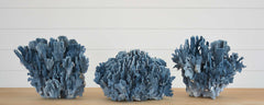 blue coral collection
