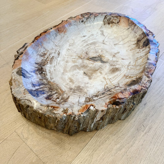 XL petrified wood bowl