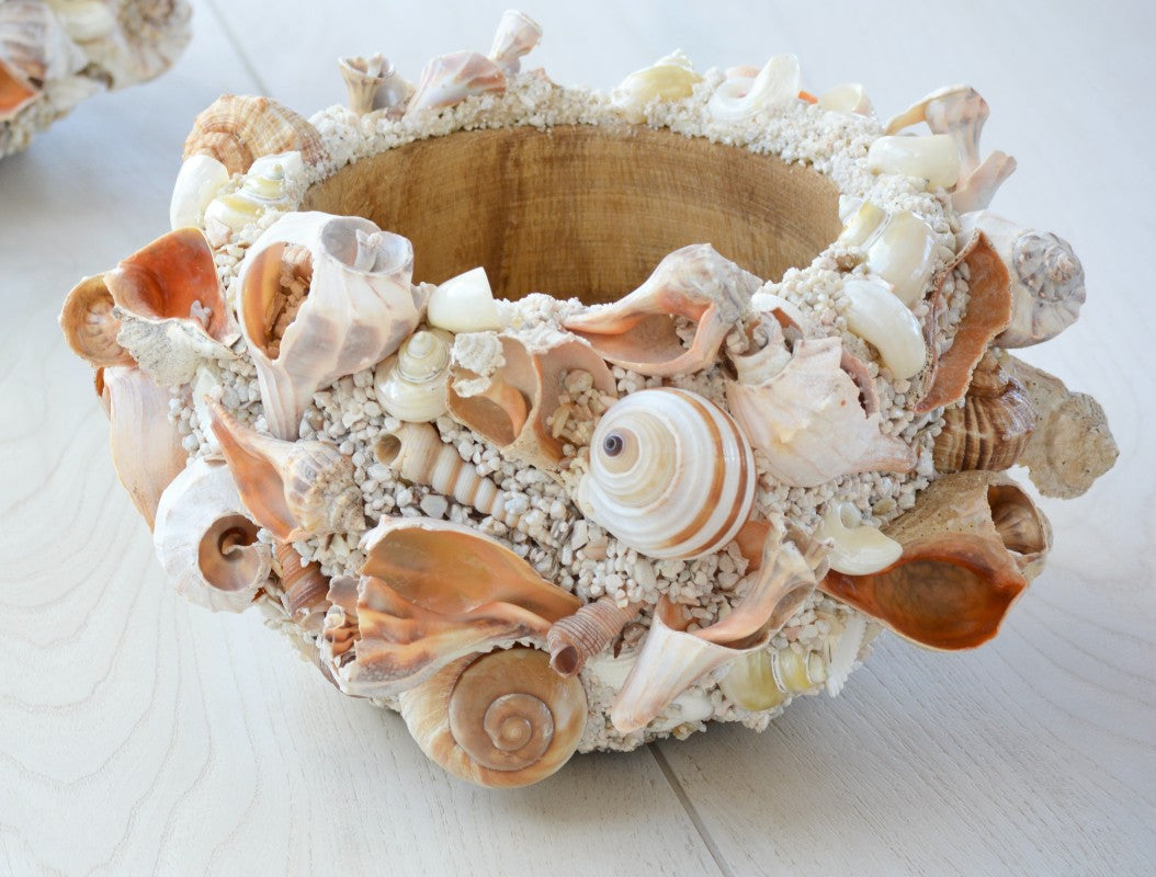 encrusted shell cachepot