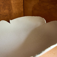 warner walcott live edge bowl