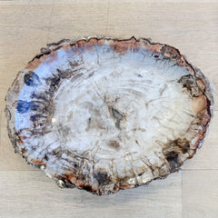 XL petrified wood bowl