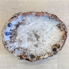 XL petrified wood bowl