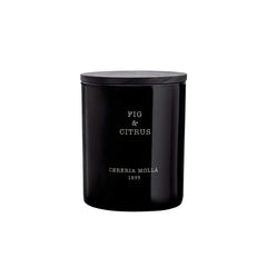 fig and citrus 8oz candle