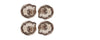 petrified wood coasters s/4