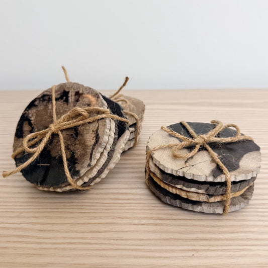 petrified wood coaster set