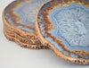 petrified wood coasters s/4