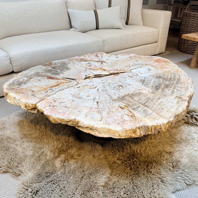 petrified wood coffee table with wood base