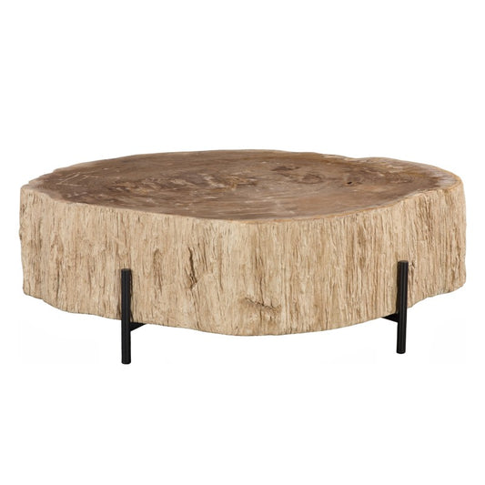 petrified wood coffee table on black frame base