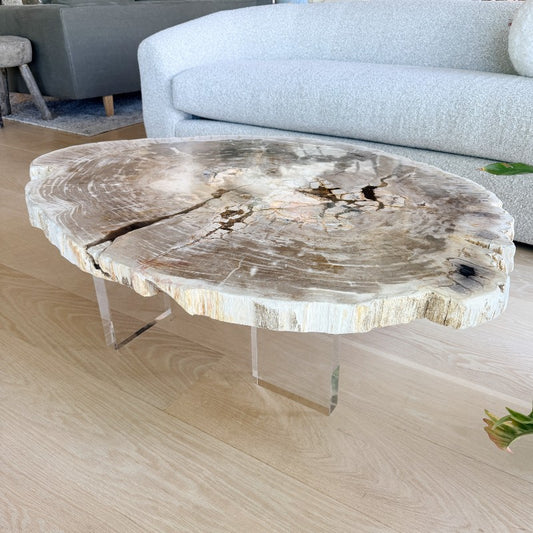 petrified wood table with lucite legs