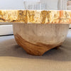 petrified wood coffee table with wood base