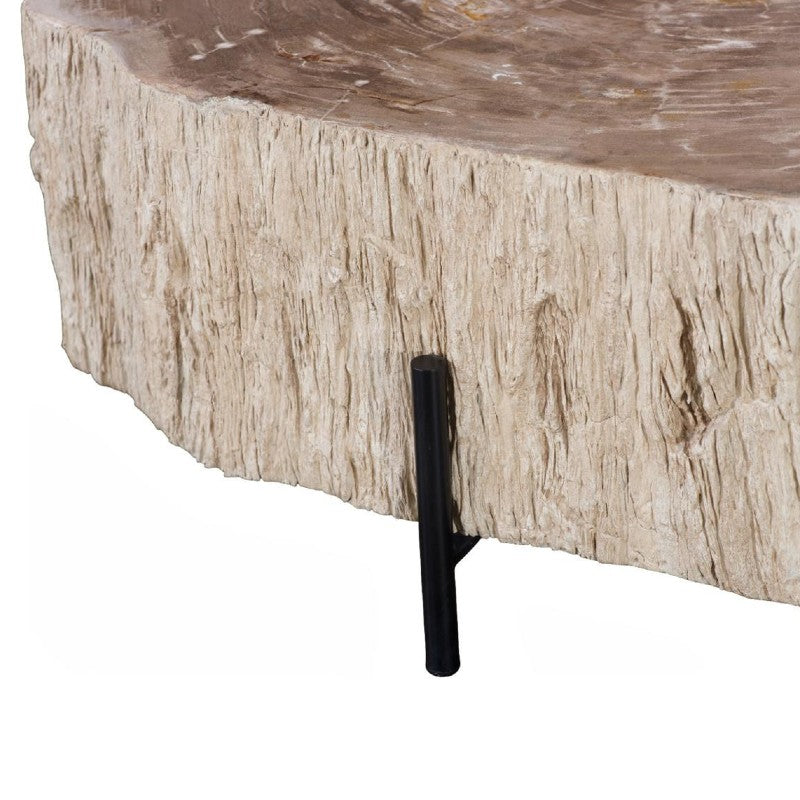 petrified wood coffee table on black frame base
