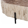 petrified wood coffee table on black frame base