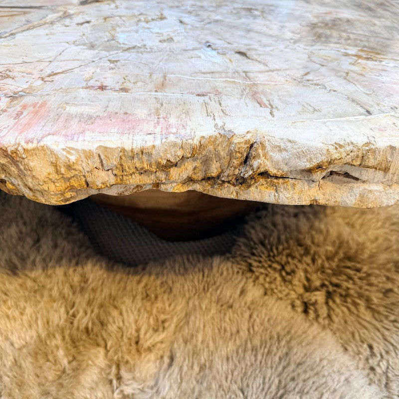 petrified wood coffee table with wood base